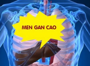 Làm gì khi men gan tăng cao?